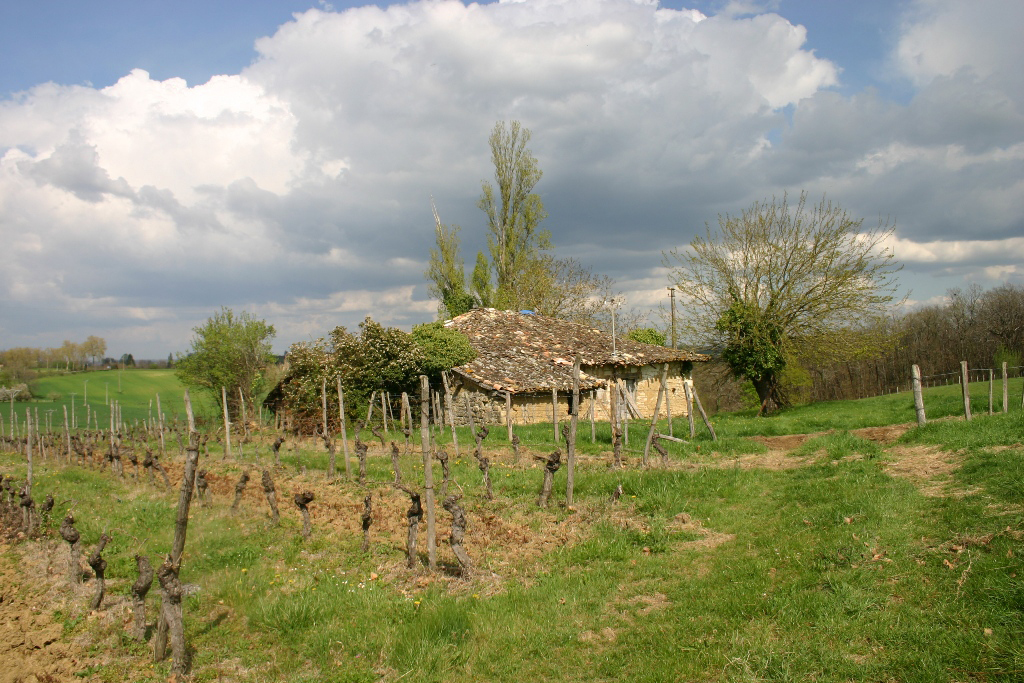 Une ferme à Molières (c) Pays Midi-Quercy ; (c) Conseil général de Tarn-et-Garonne ; (c) Inventaire général Région Midi-Pyrénées