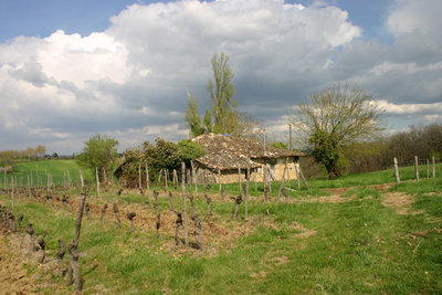 Une ferme à Molières (c) Pays Midi-Quercy ; (c) Conseil général de Tarn-et-Garonne ; (c) Inventaire général Région Midi-Pyrénées